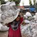 KASHMIR-SRINAGAR-SINGLE-USE PLASTIC ITEMS-BAN