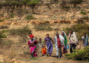 Ethiopia Tigray Crisis