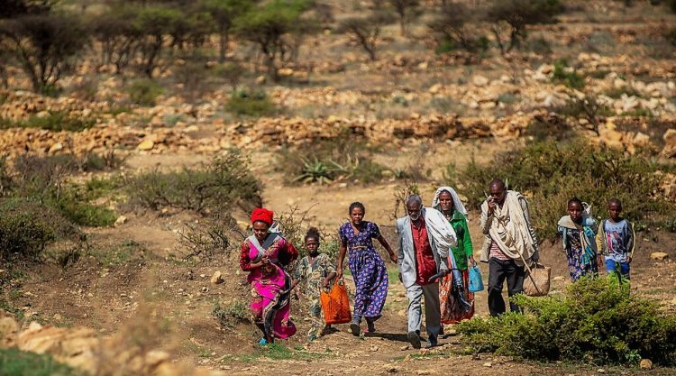 Ethiopia Tigray Crisis
