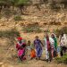 Ethiopia Tigray Crisis