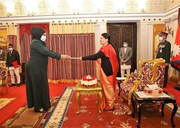 Three ambassadors submit letter of credence to President
