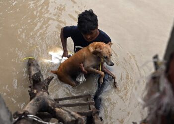 INDIA-WEATHER-CLIMATE-FLOOD