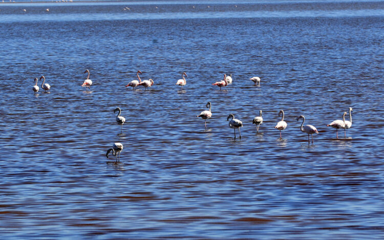 CHINA-BEIJING-INT’L BALLET SEASON-CONCLUSION(CN)